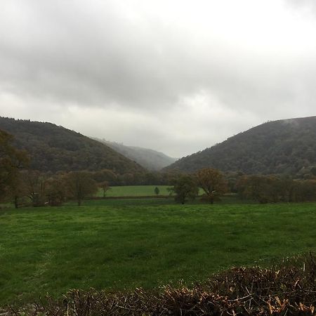 Villa Llys Y Coed Brechfa Zimmer foto