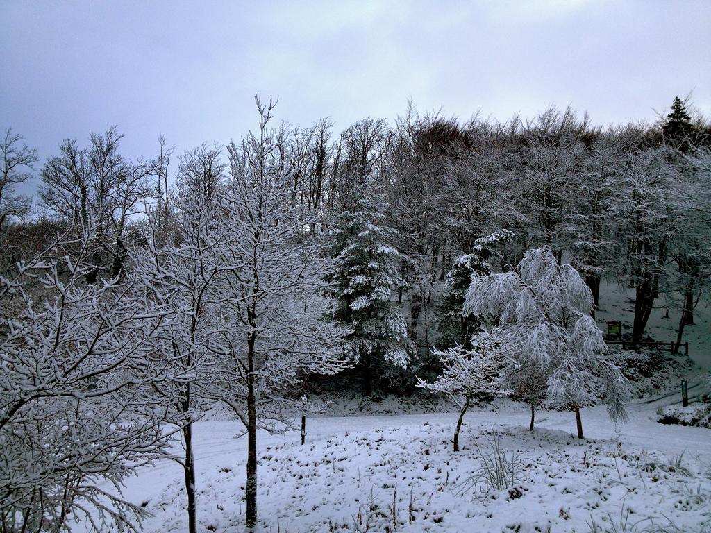 Villa Llys Y Coed Brechfa Zimmer foto