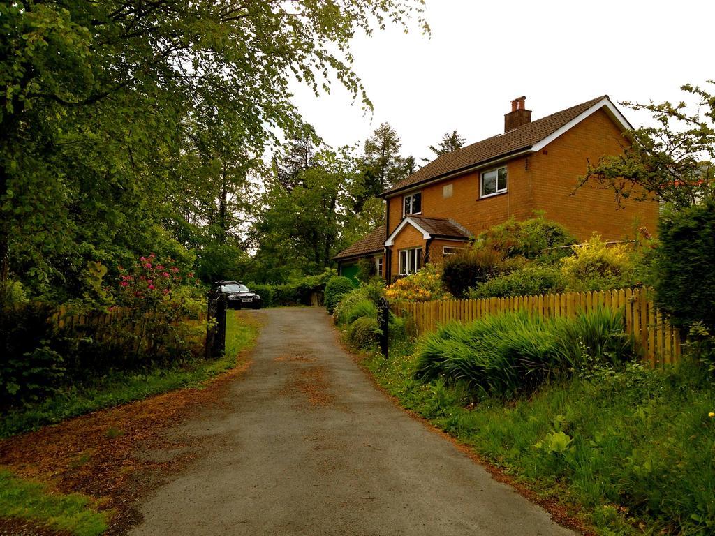 Villa Llys Y Coed Brechfa Zimmer foto